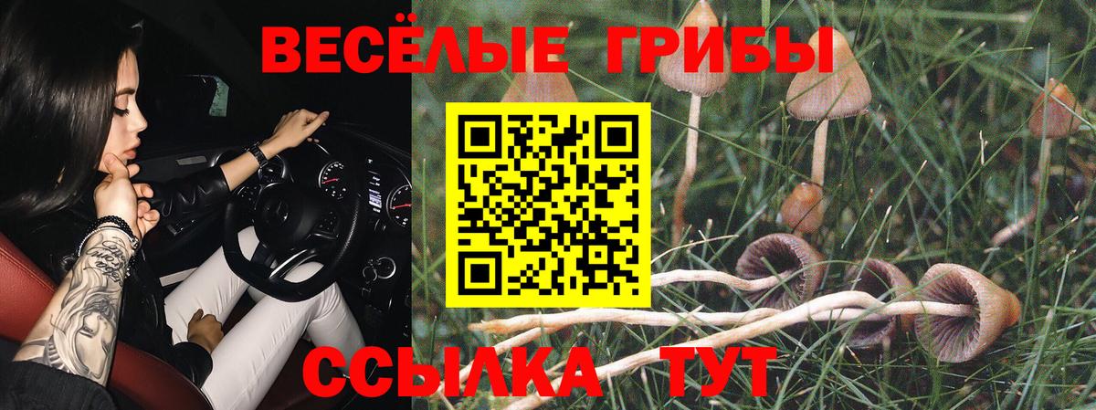 Псилоцибиновые грибы ЛСД  Псилоцибиновые грибы мицелий  Вход с VPN  Воткинск 